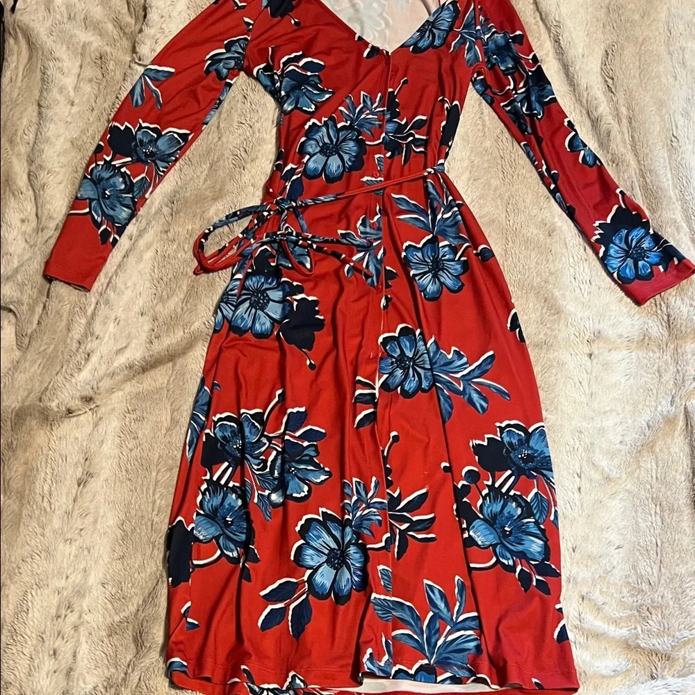 Zara Vibrant Red and Blue Floral Long Sleeve  Maxi Dress - Picture 6 of 7